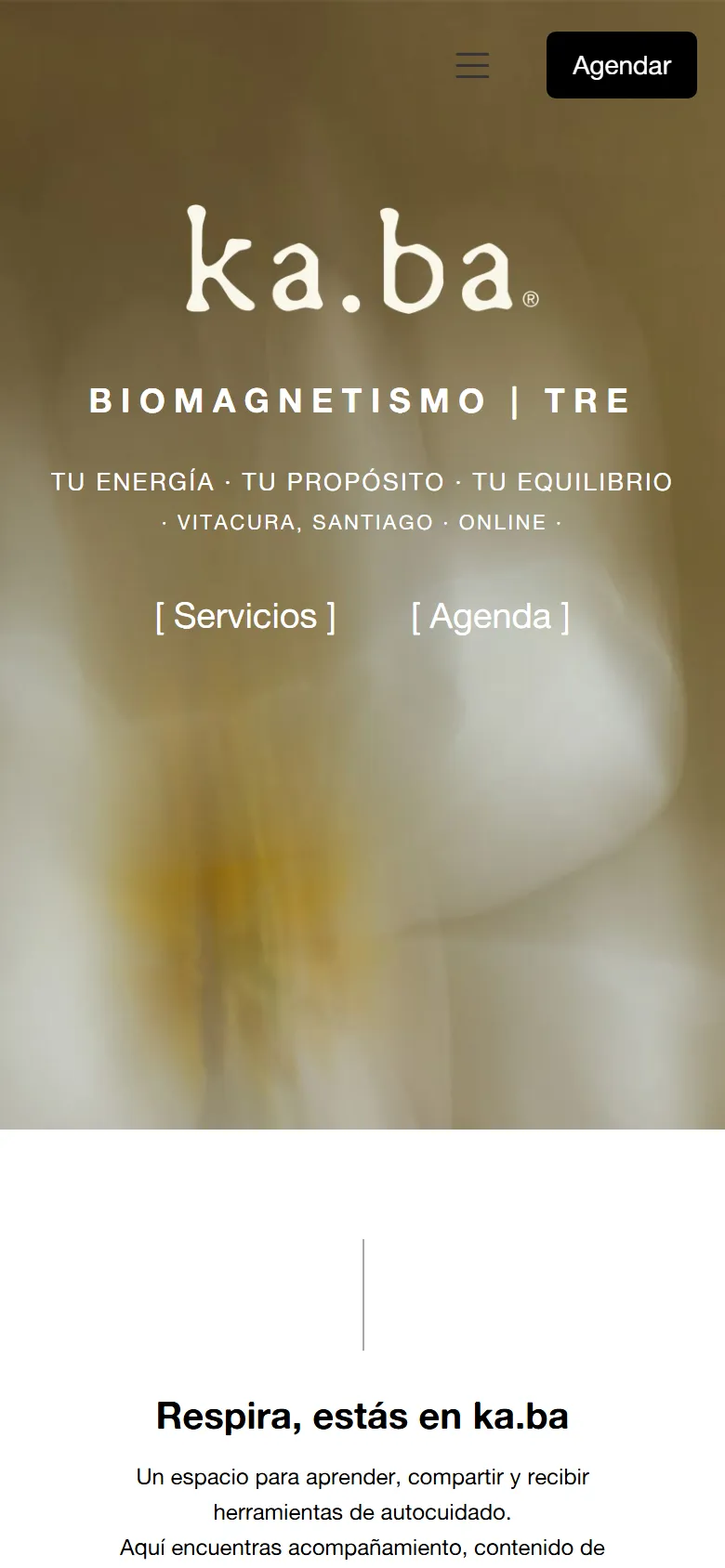 Versión móvil de kabaestudio.cl, tienda de diseño administrable
